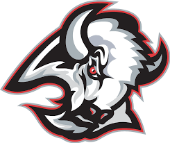 Buffalo Sabres 