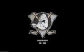 Anaheim Ducks